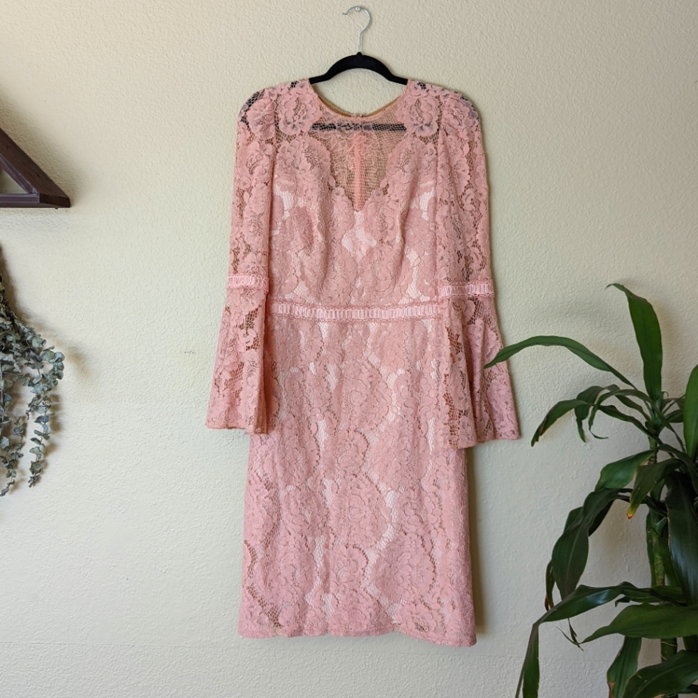 Tadashi Shoji Long Sleeve Lace Dress